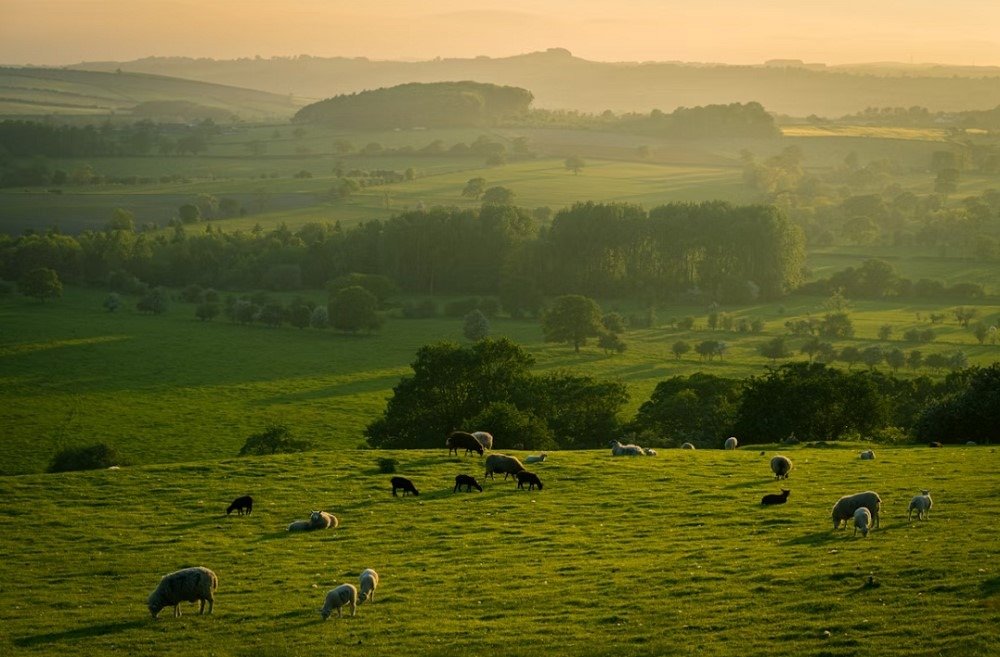 Yorkshire Charming Countryside and Stunning Coastlines 02